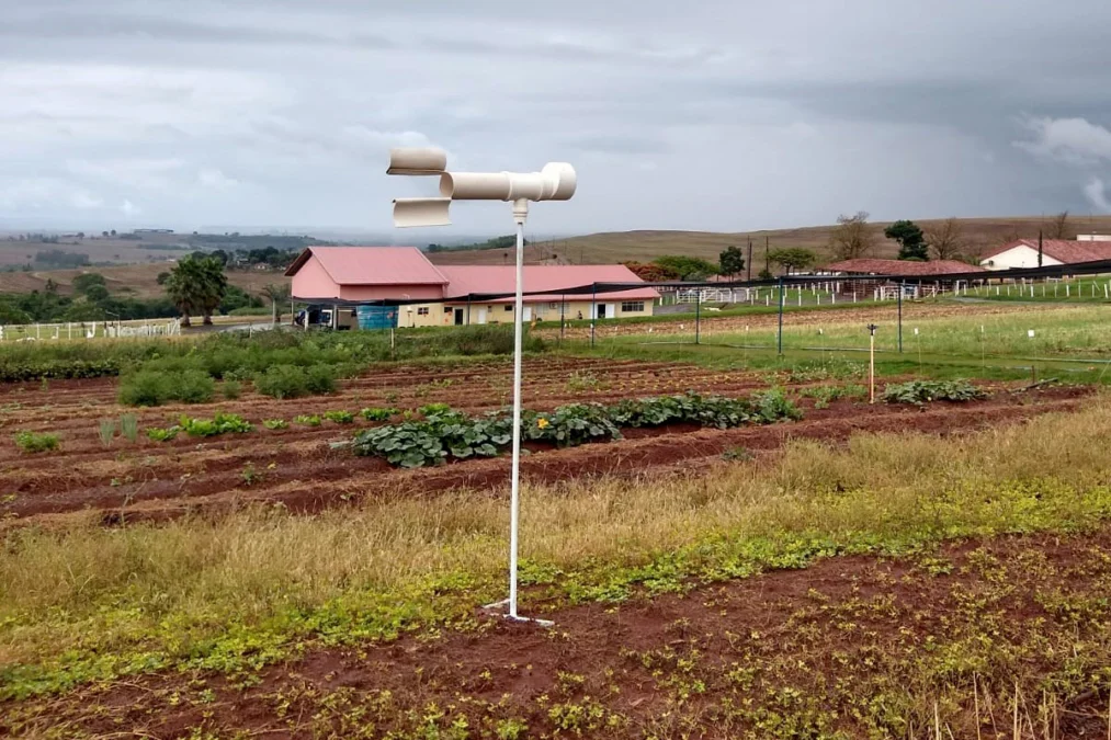 Pesquisadores do Paraná usam Inteligência Artificial para combate da ferrugem da soja