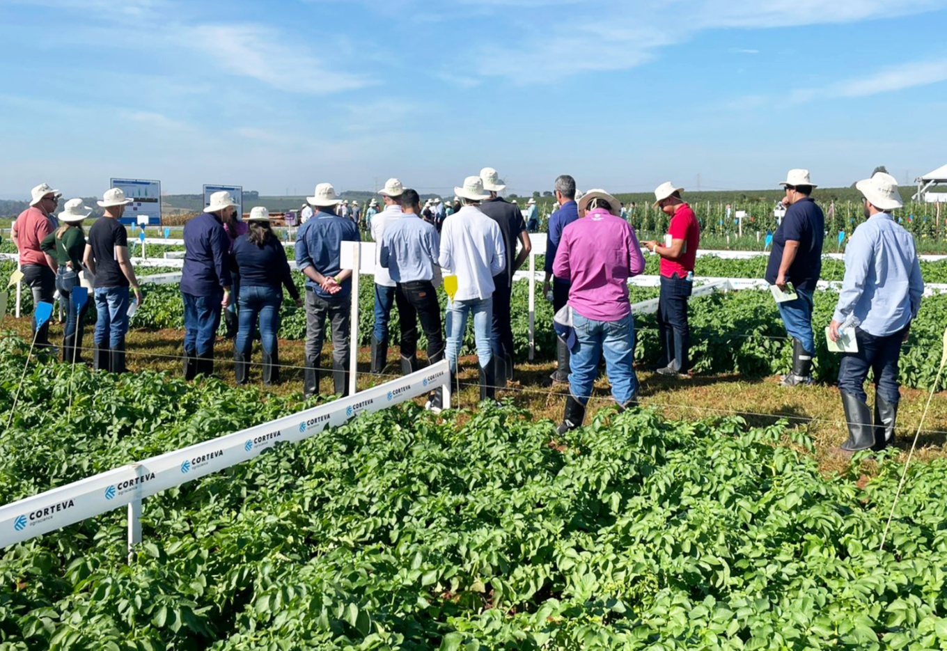Hortitec reúne setor de hortaliças em Holambra