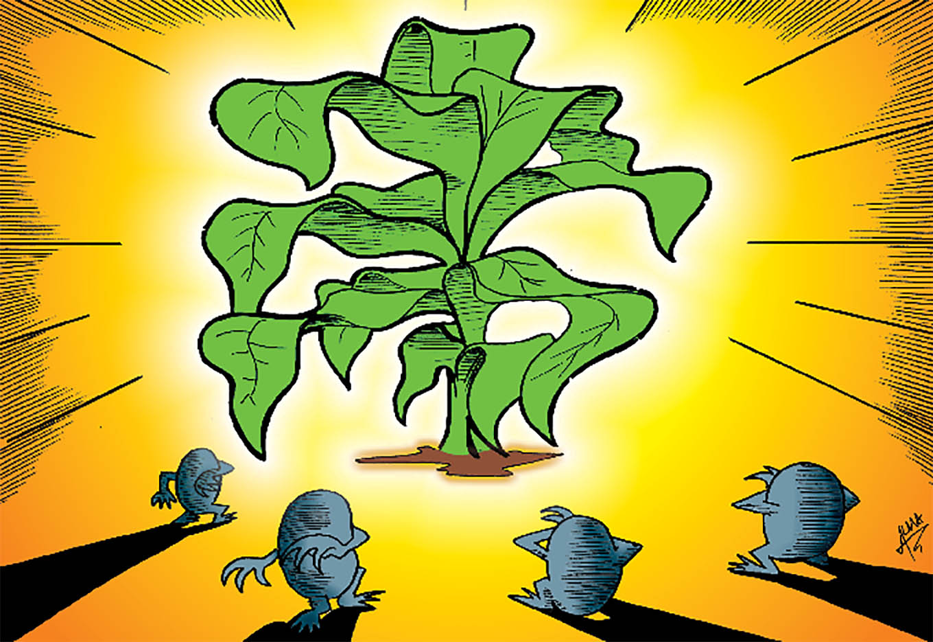 Biotecnologia Cria a Nova Agricultura