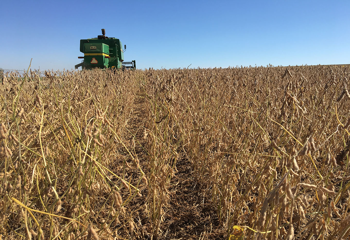 Limites da Produtividade da Soja