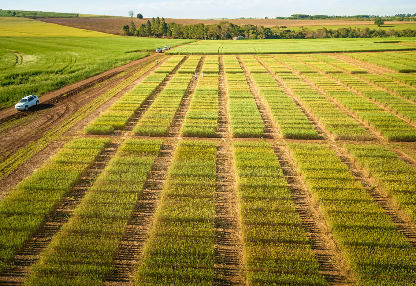 Universidades na vanguarda