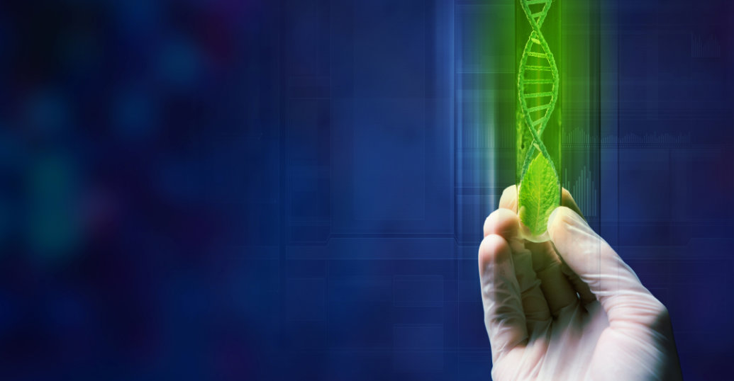 Parlamento Europeu chega a um acordo sobre a regulação das novas técnicas genômicas