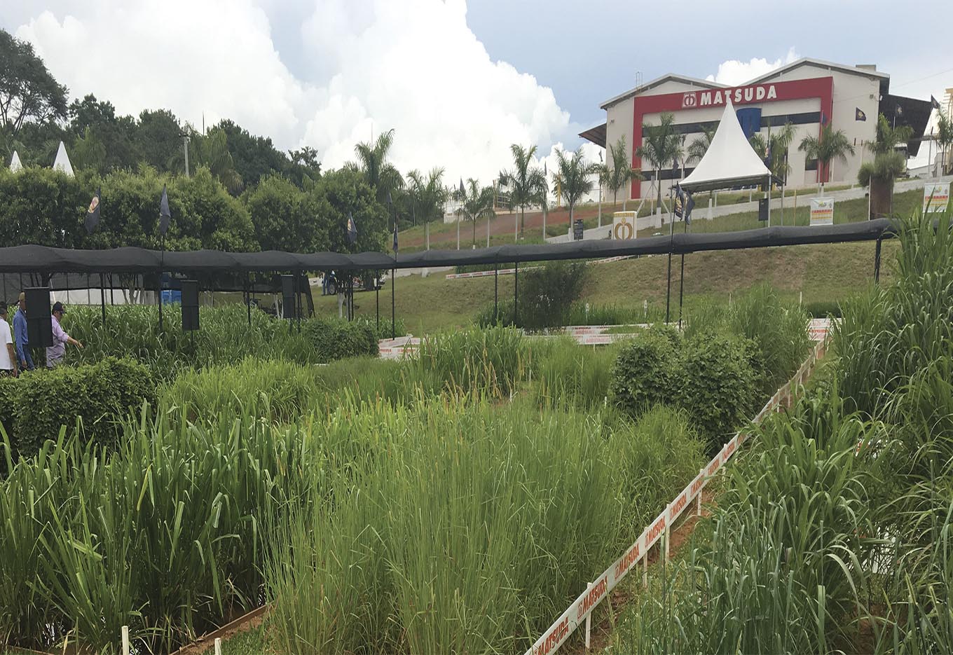 MATSUDA 70 anos de compromisso com o futuro