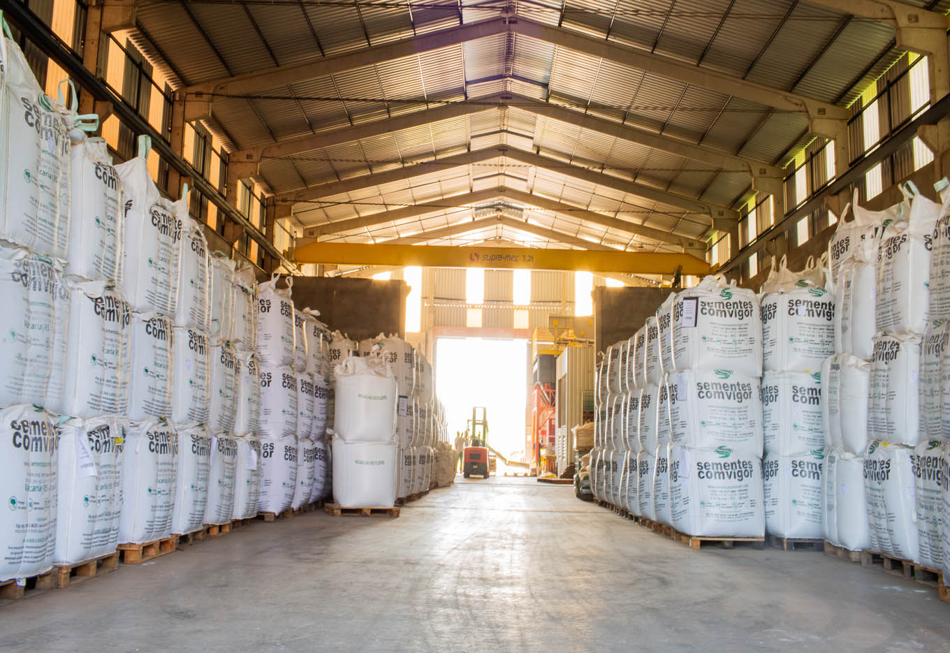 Produção de Sementes tradição e evolução