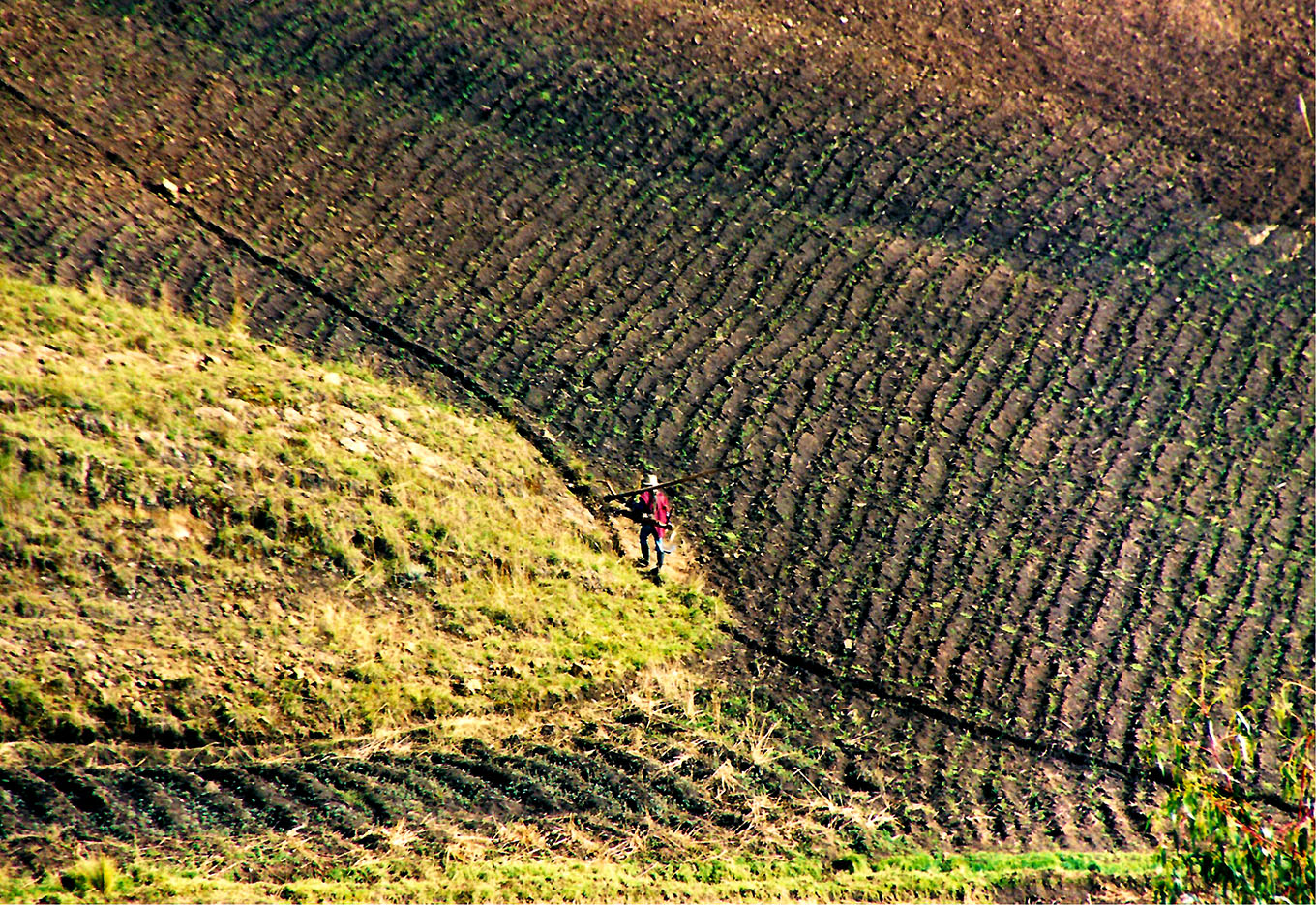 Na África um desafio para grandes negócios