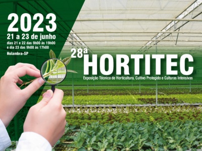 Embrapa lança cenoura híbrida na Hortitec 2023 Embrapa lança cenoura híbrida na Hortitec 2023