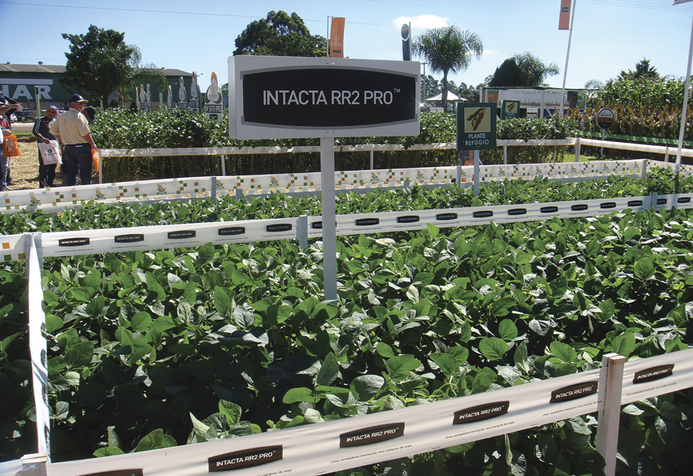 Brasil intercede junto ao governo chinês pela liberação de novos produtos agrícolas