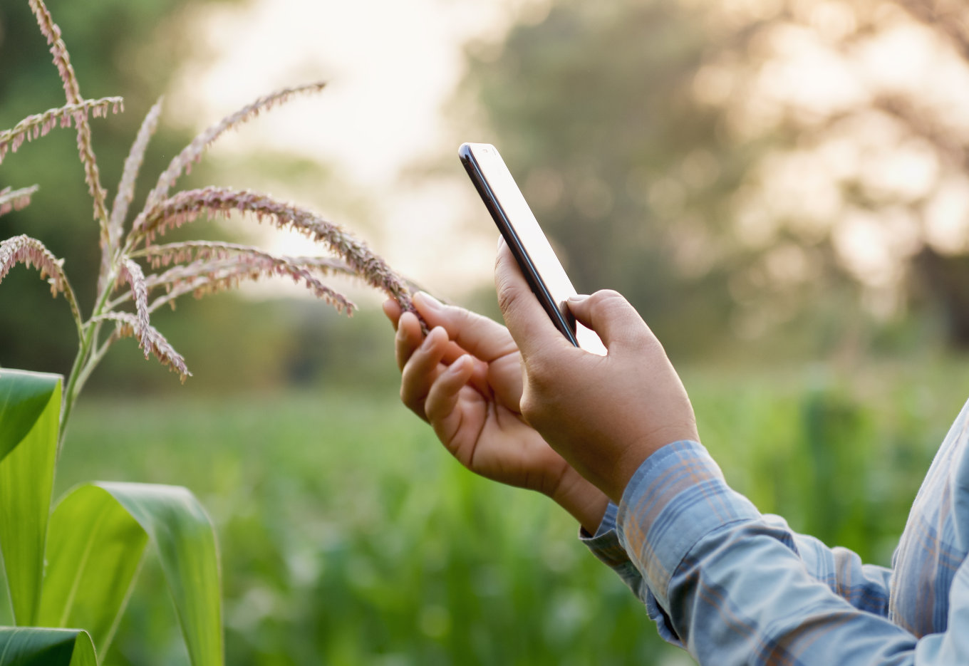 Pioneer® promove 20ª edição do evento Time de Difusores