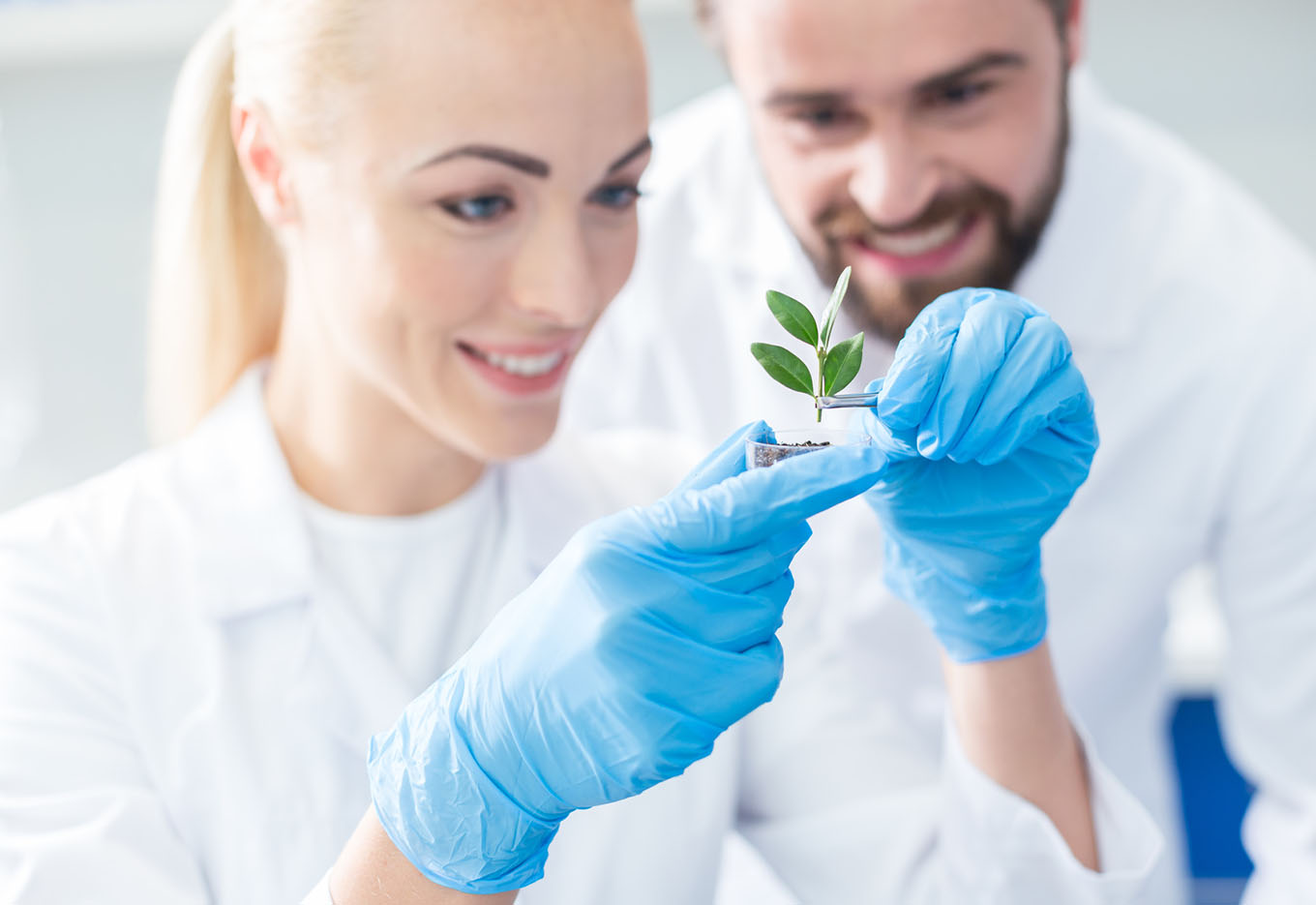 Transgênicos x Saúde