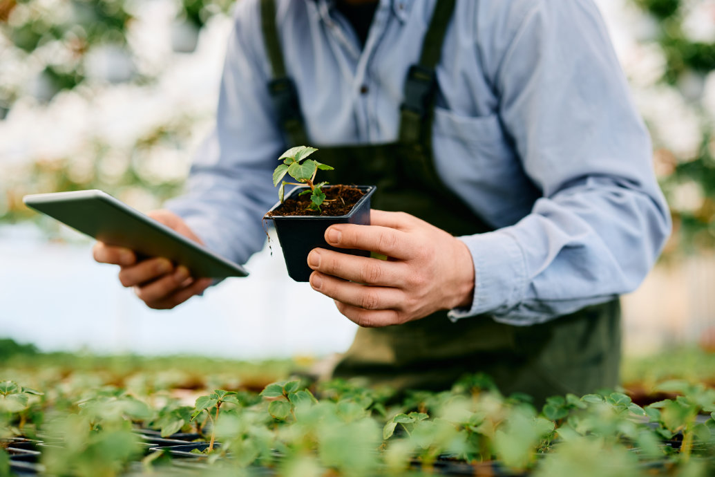 Na era da IA, a pesquisa agrícola precisa de perguntas melhores, ao invés de mais ferramentas Na era da IA, a pesquisa agrícola precisa de perguntas melhores, ao invés de mais ferramentas