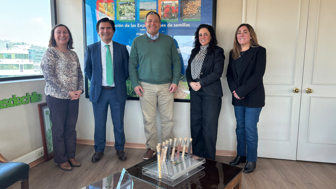 ANPROS aborda os principais desafios para o comércio de sementes com valor agregado agrícola do Chile no Brasil ANPROS aborda os principais desafios para o comércio de sementes com valor agregado agrícola do Chile no Brasil