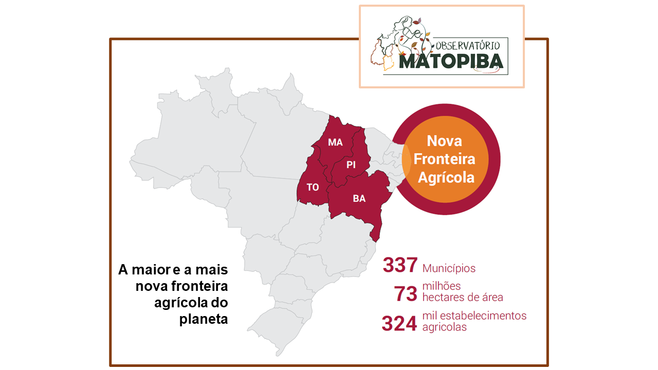 Estudo aponta crescimento vertiginoso da produção de grãos no Matopiba em dez anos