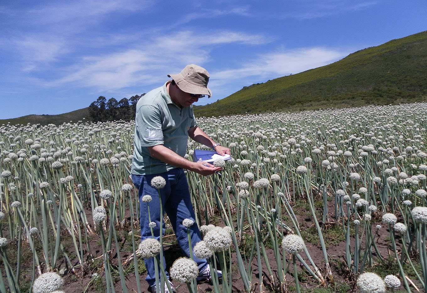 Fundação Pró-Sementes de Apoio à Pesquisa