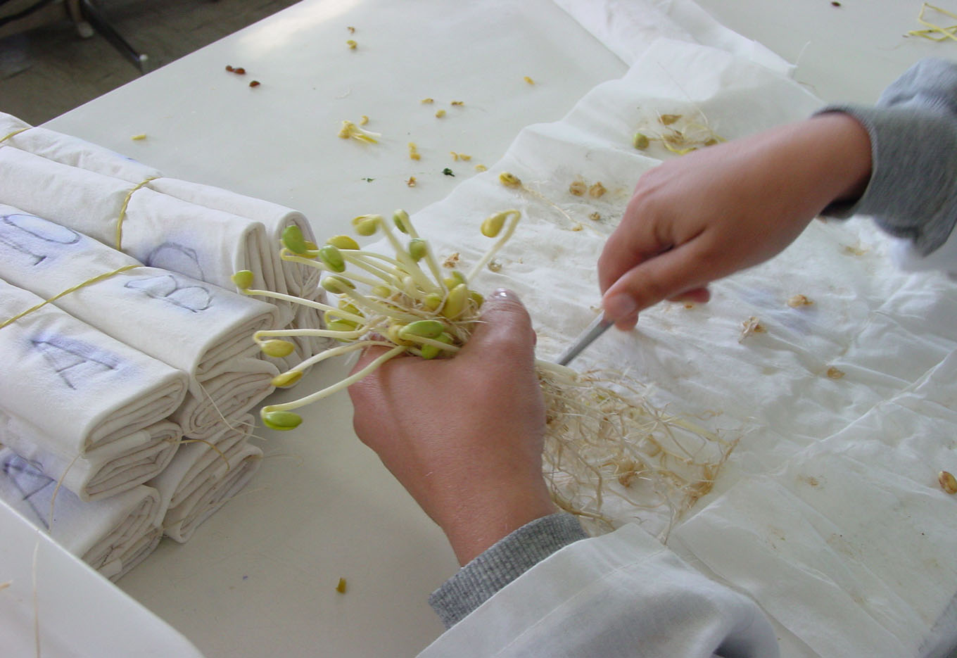 Controle de Qualidade