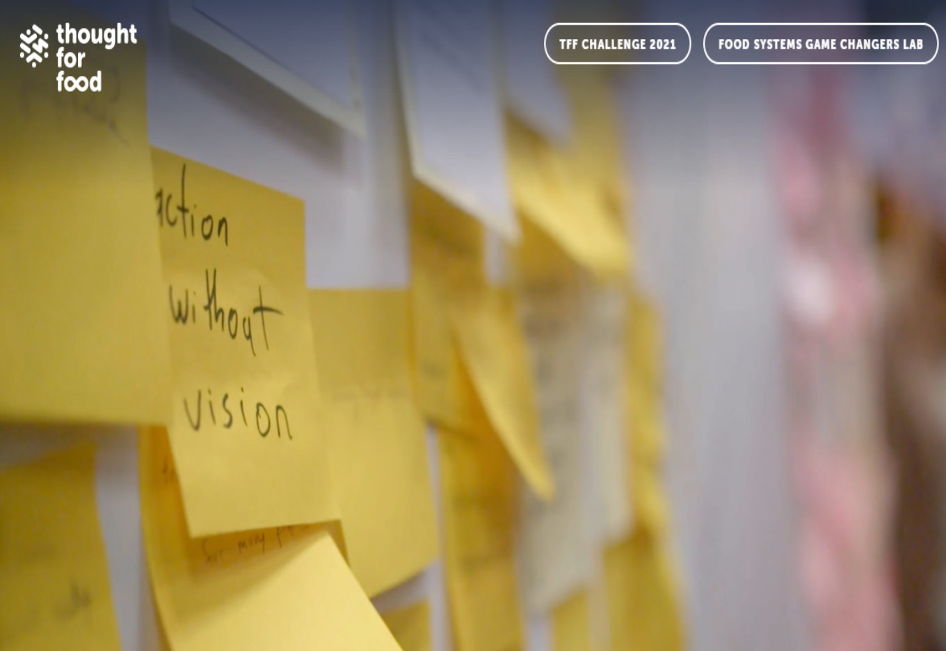 Cinco startups latino-americanas que estão transformando a cadeia de alimentos