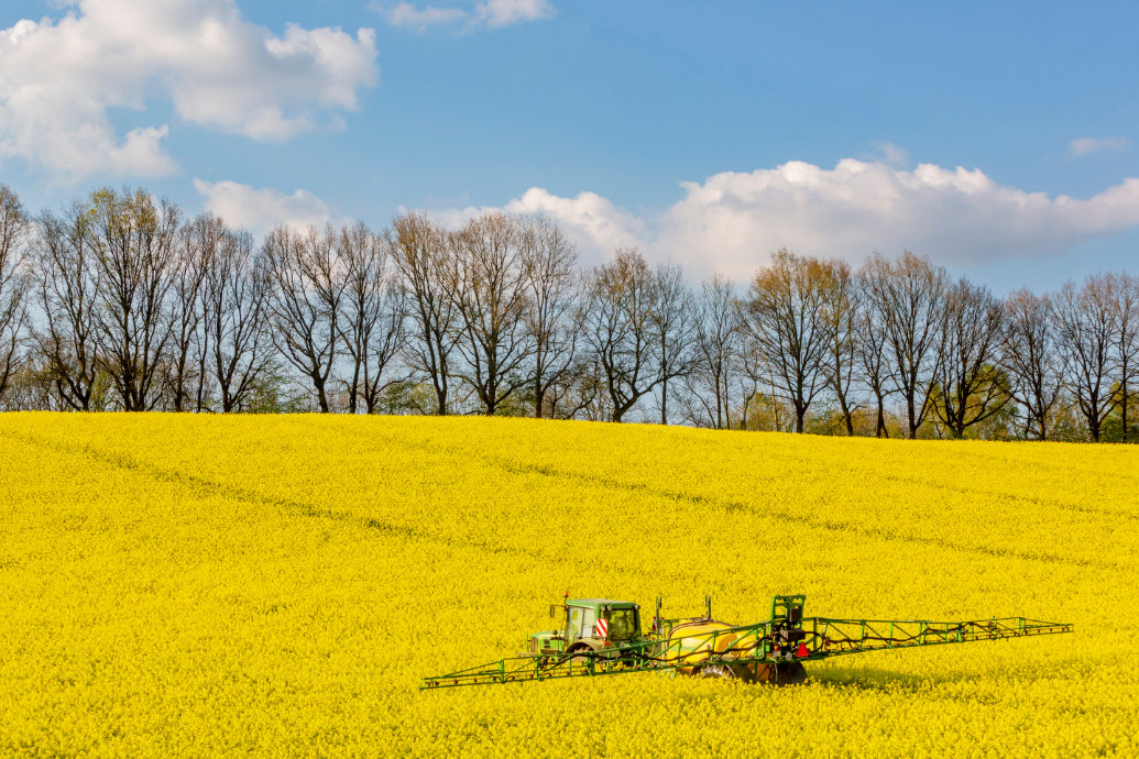 A edição de genes poderia reduzir a aplicação de inseticidas na agricultura europeia em até 80 porcento