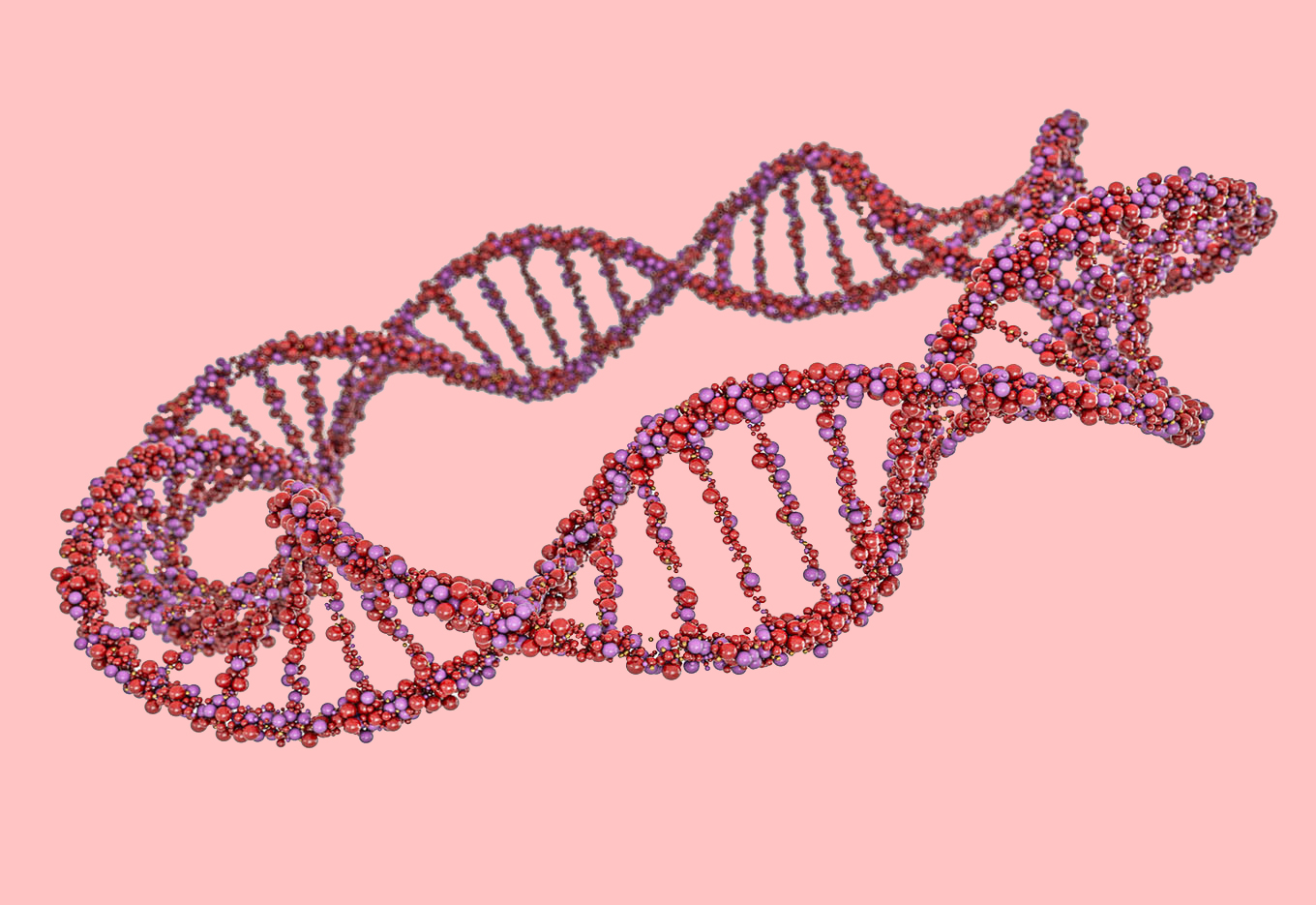 Uma década com Culturas Biotecnológicas
