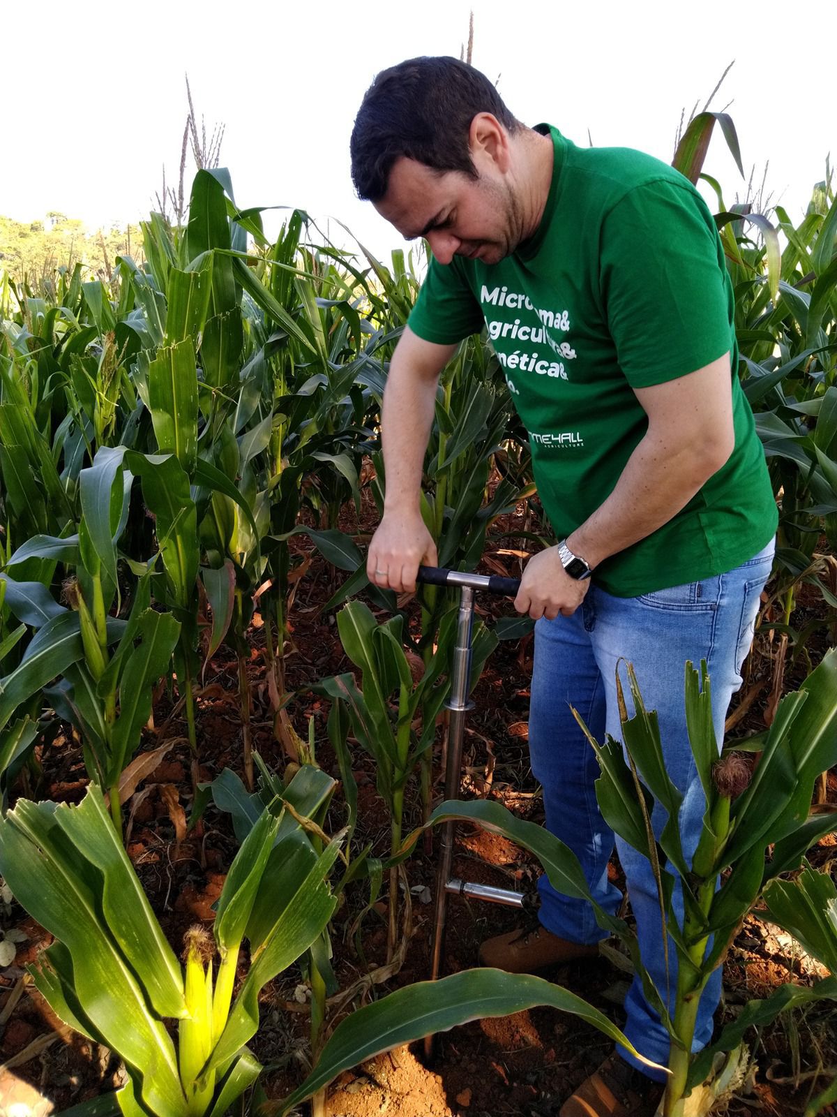 Startup classificará maturidade microbiológica dos solos voltados para plantio de soja no Cerrado