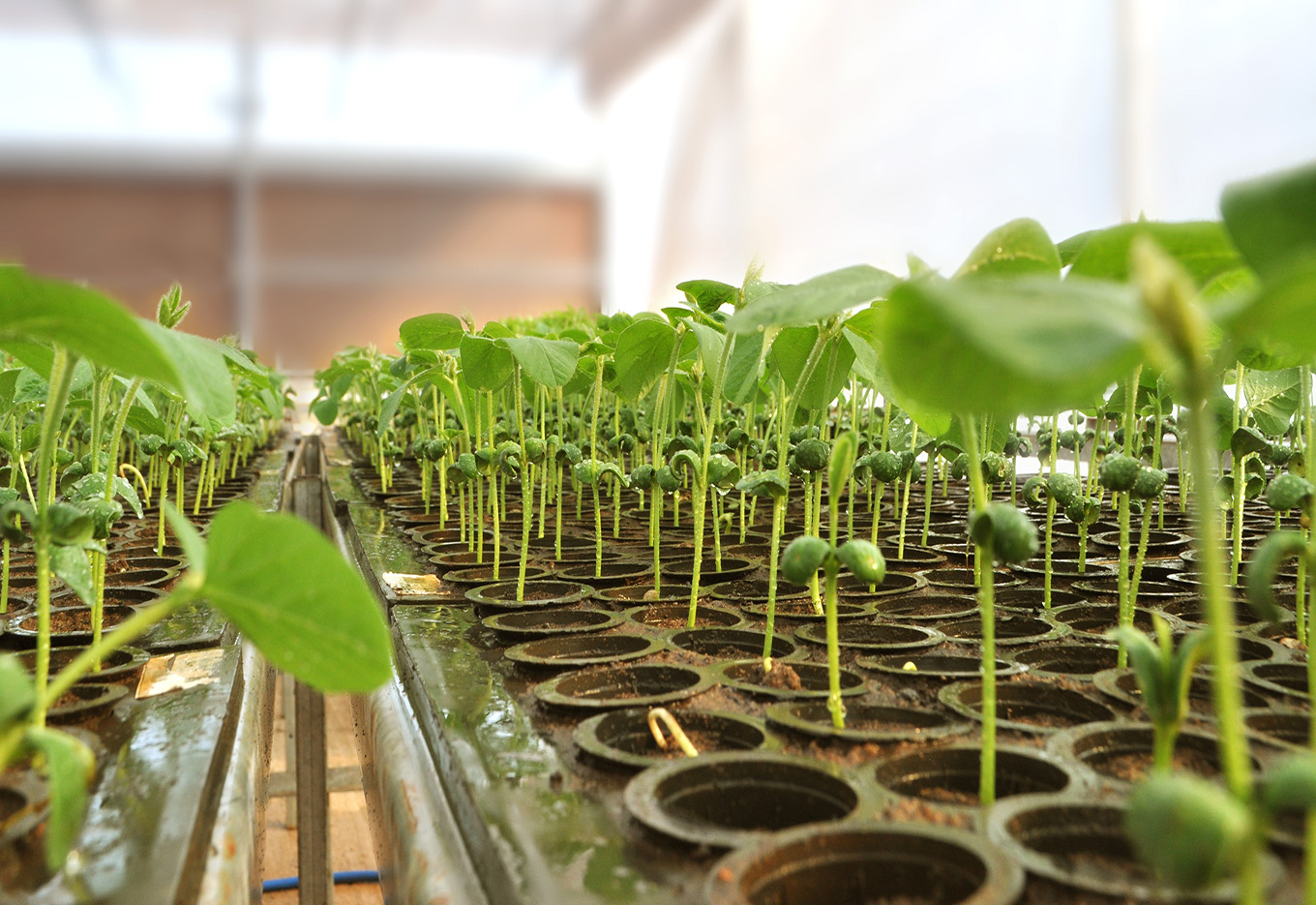 TMG  entre as maiores do Brasil