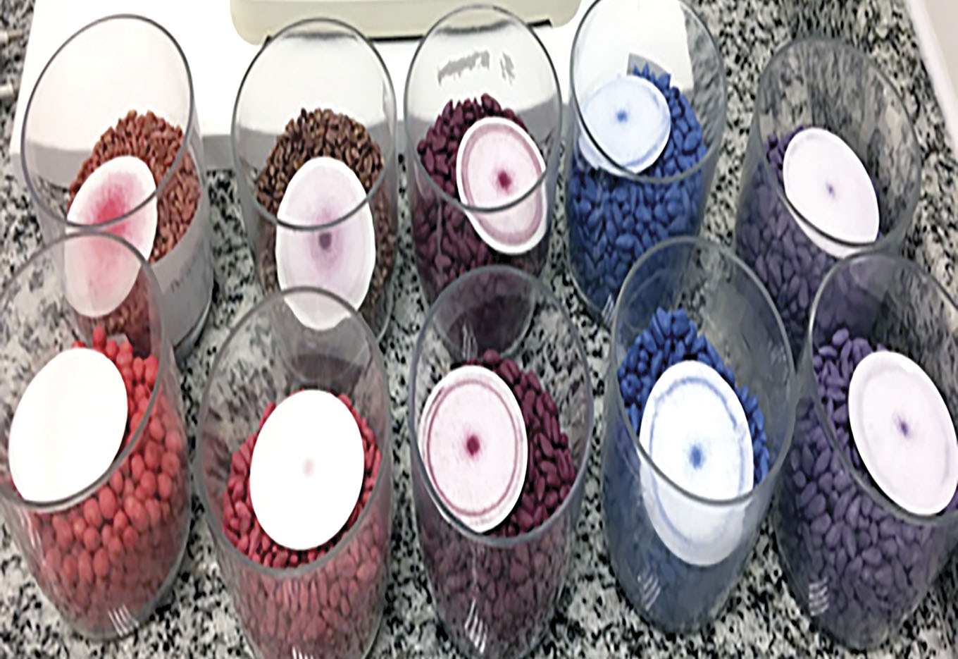 Centro de tratamento de sementes Bayer seedgrowth