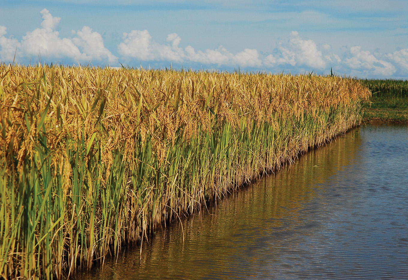 Discurso presidencial no Congresso ISF 2010 em Calgary, Canadá