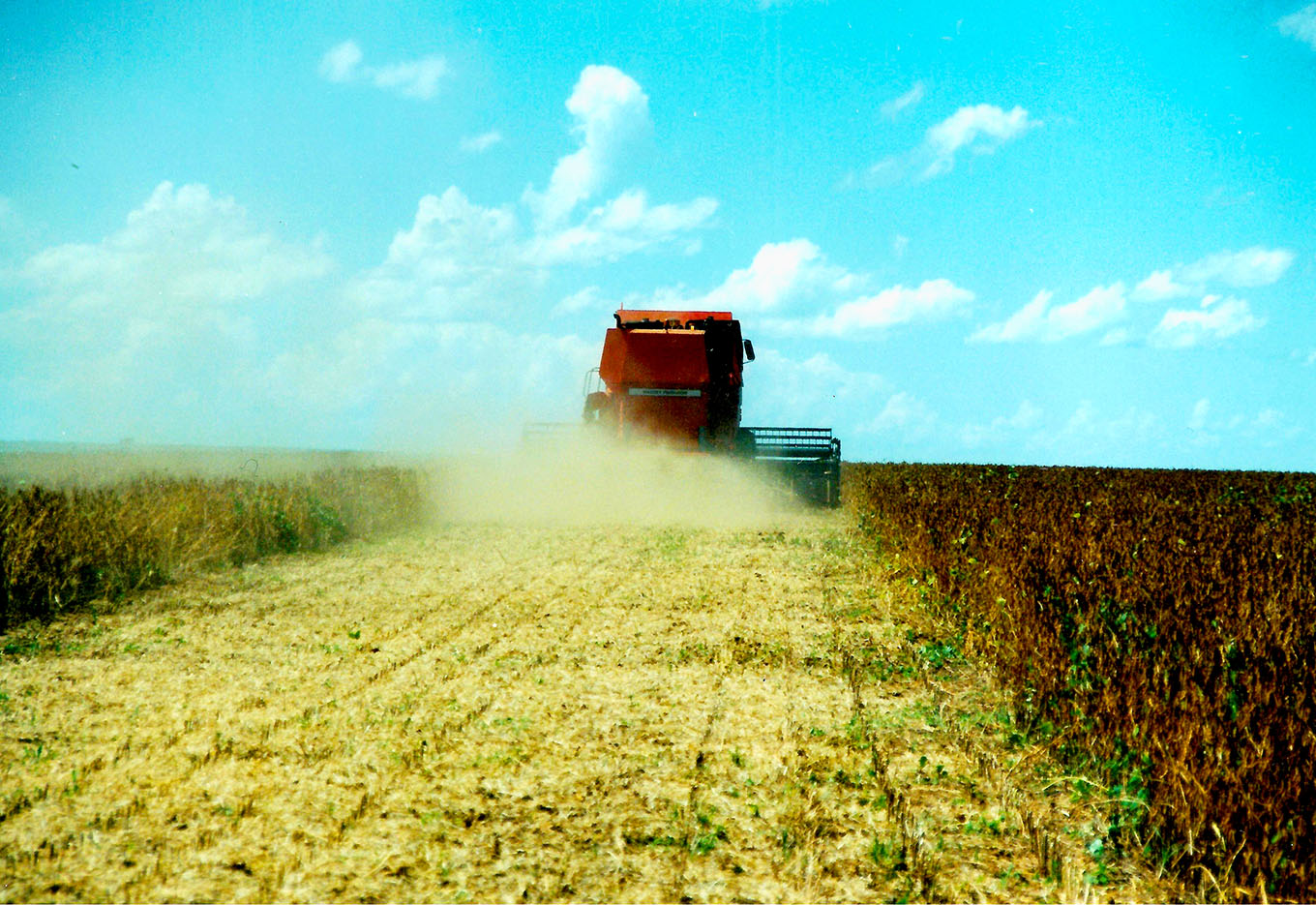 Agronegócio Sementes