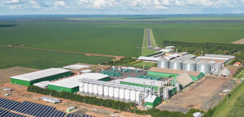 Indústria de produção de sementes conecta genética e tecnologia ao agricultor