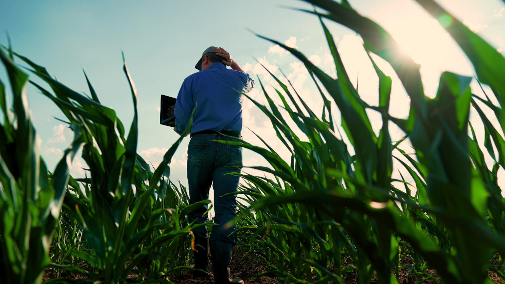 O agro fecha 2025 com quase 2 mil solicitações de recuperação judicial e registra o maior acumulado da série histórica