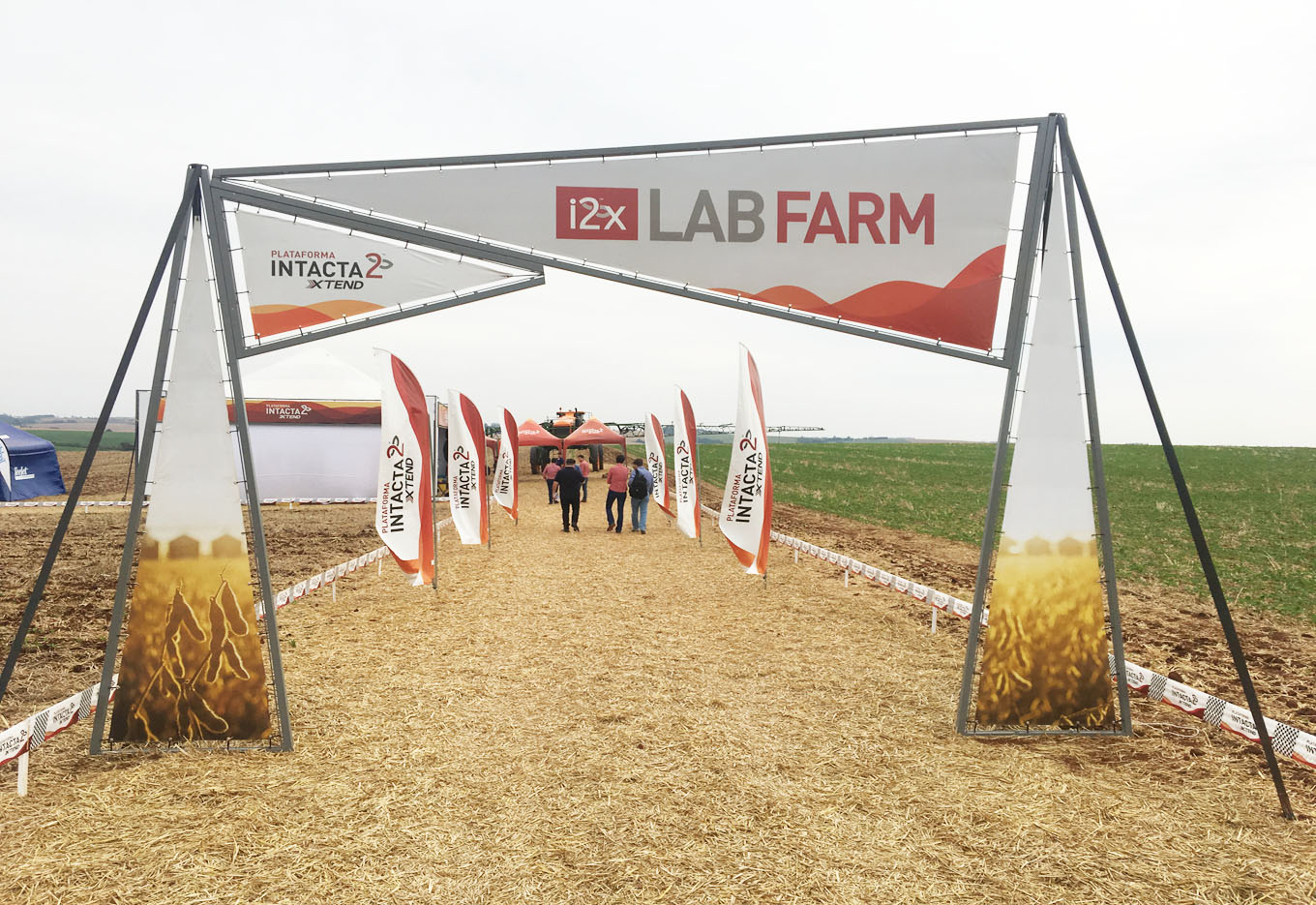 O manejo inteligente da tecnologia Intacta 2 Xtend