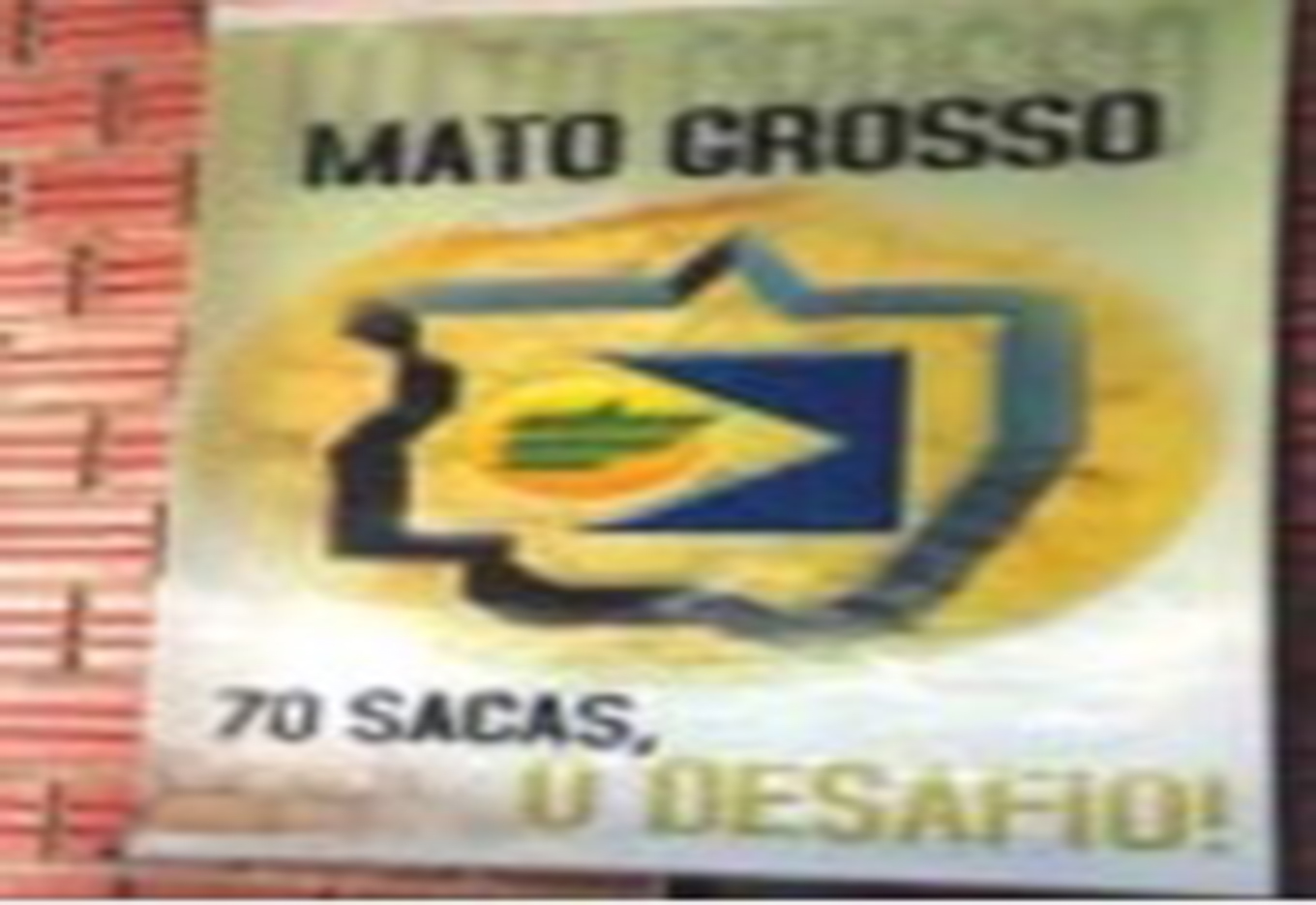 Mato Grosso: uma agricultura vencedora