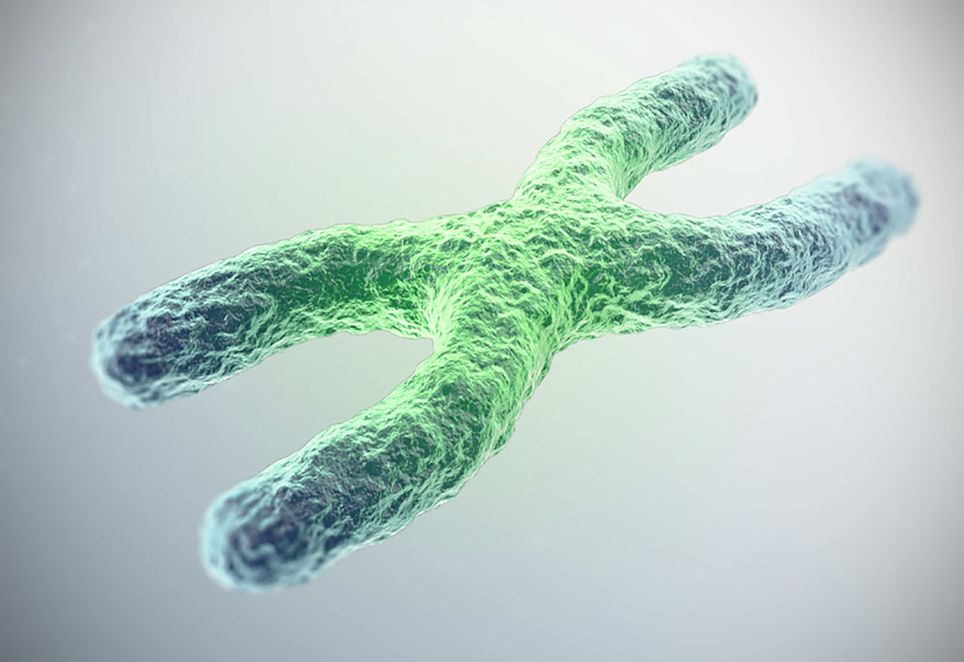 Os 5 principais avanços da legislação envolvendo biotecnologia ao redor do mundo em 2024 Os 5 principais avanços da legislação envolvendo biotecnologia ao redor do mundo em 2024
