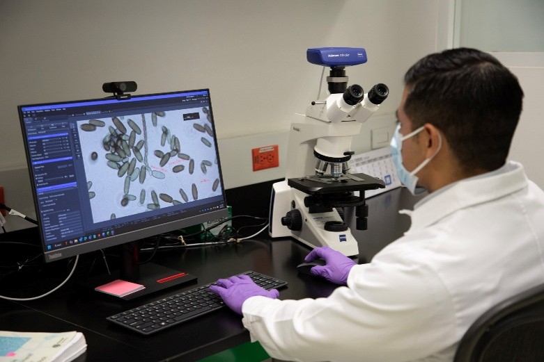 O Laboratório de Sementes do CIMMYT se credencia para dar continuidade ao seu trabalho fitossanitário