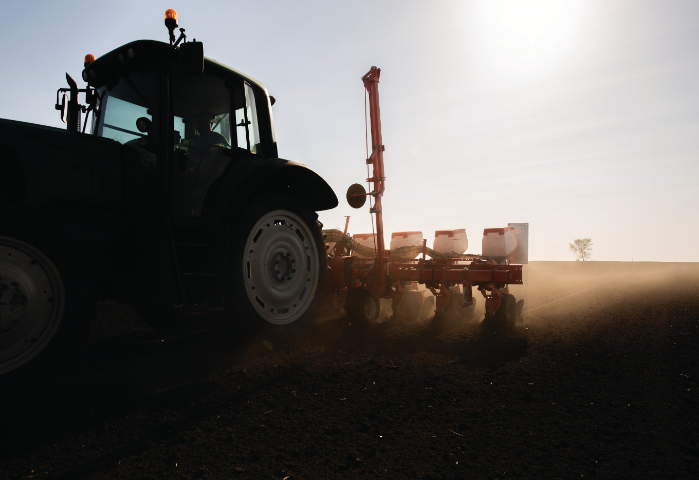 O que podemos estar deixando para trás no plantio?