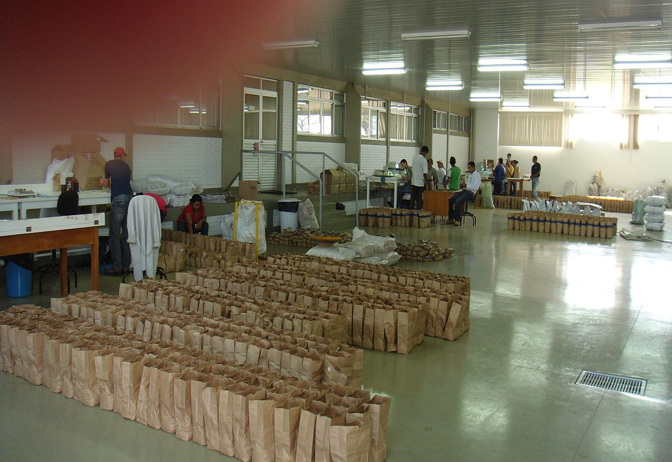 Uma cultura para o Sul