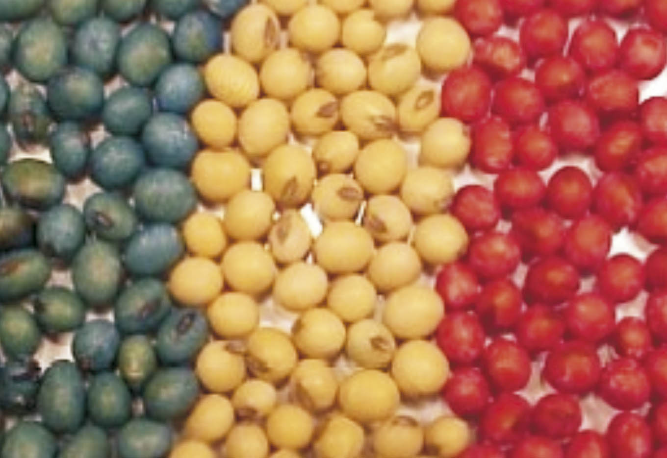 Recobrimento de Sementes