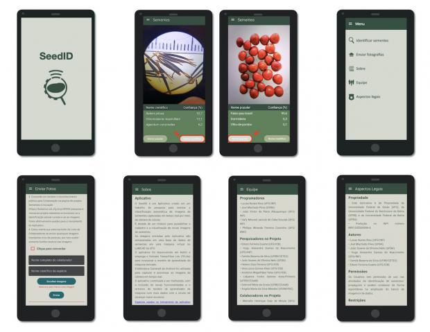 A equipe do projeto Sementes e Inovação acaba de disponibilizar o aplicativo SeedID, uma ferramenta desenvolvida para auxiliar na identificação de sementes A equipe do projeto Sementes e Inovação acaba de disponibilizar o aplicativo SeedID, uma ferramenta desenvolvida para auxiliar na identificação de sementes