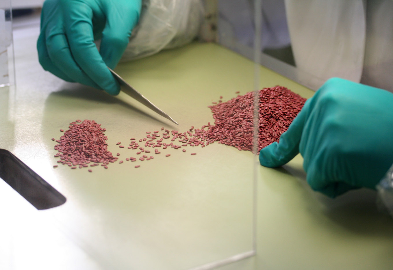 A importância da Associação Internacional de Análise de Sementes (ISTA)