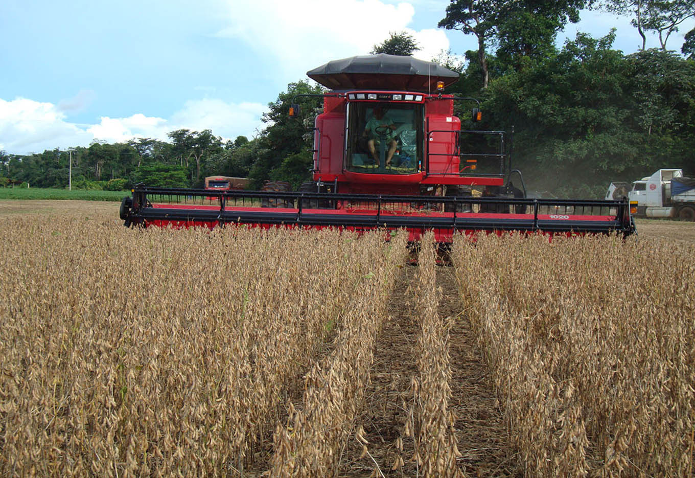 Colheita de Precisão já é uma Realidade