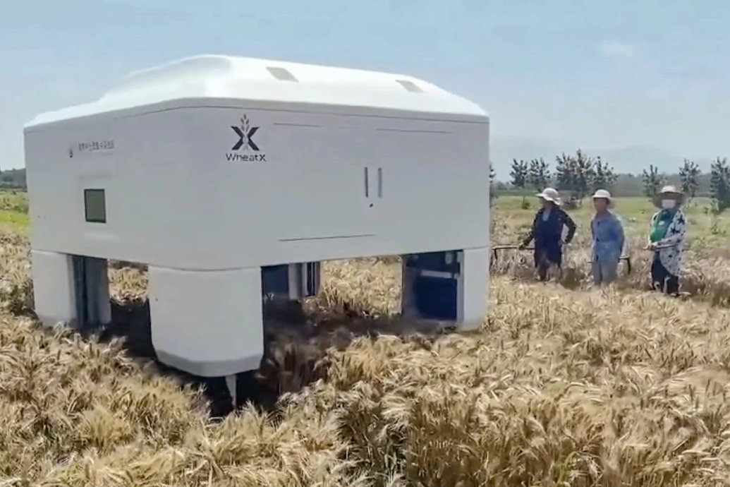 China apresenta robô com IA projetado para ajudar agricultores a desenvolver melhores variedades de trigo China apresenta robô com IA projetado para ajudar agricultores a desenvolver melhores variedades de trigo