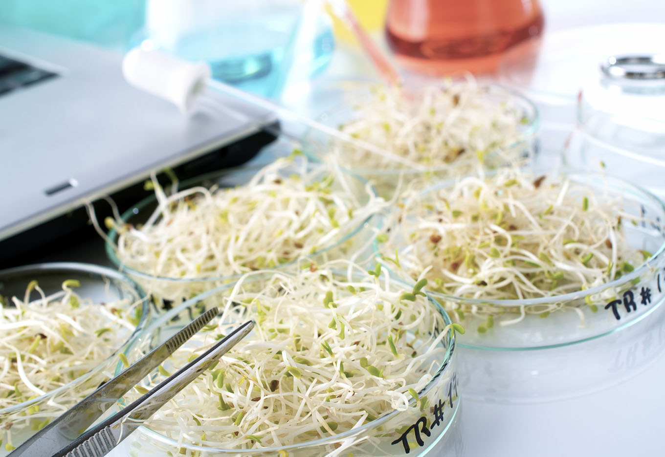 X Congresso Brasileiro de Sementes