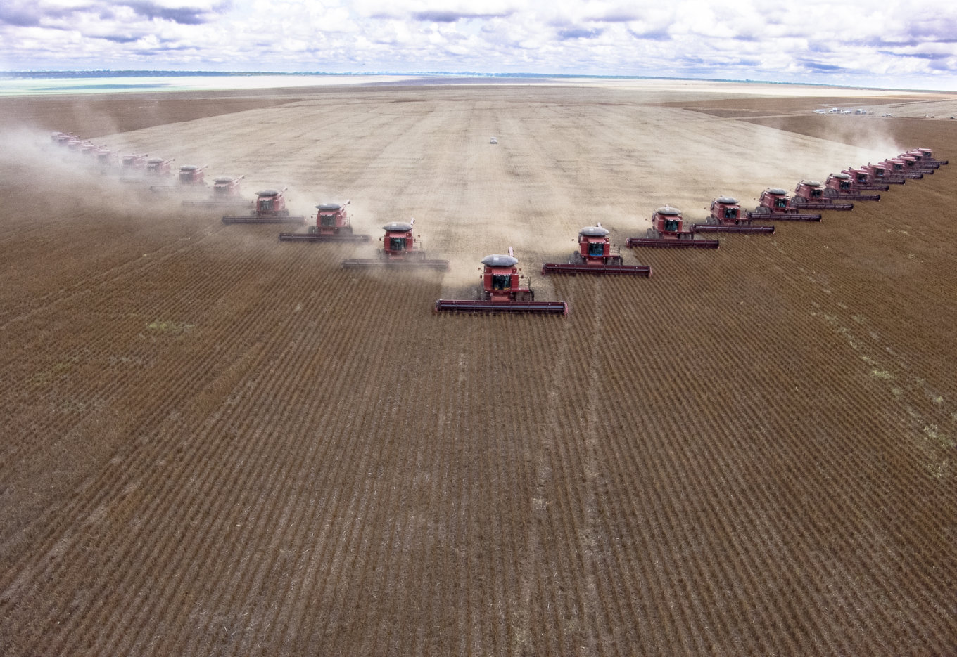 MAPA projeta 27 porcento de aumento na produção de grãos em 10 anos