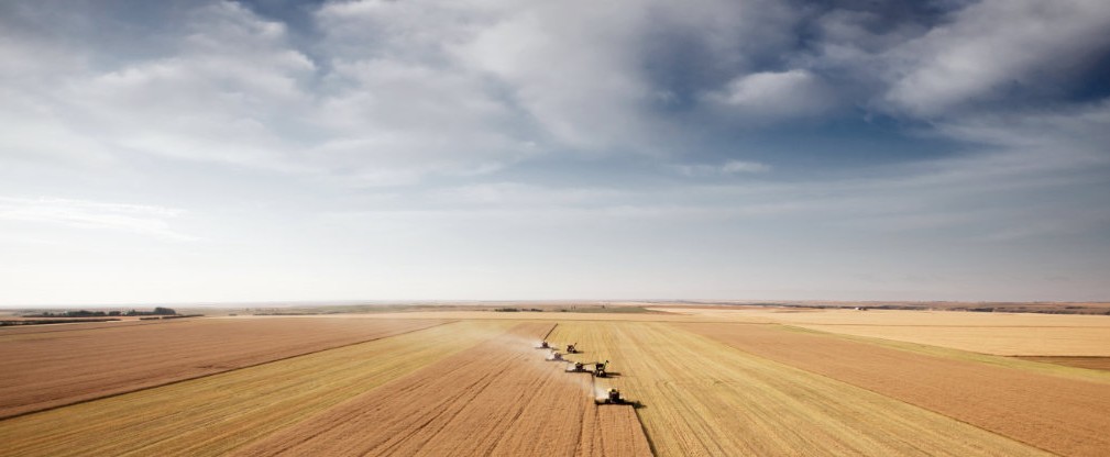 Área de soja cresce cerca de 43 mil hectares no Piauí e no Maranhão, enquanto Acre e Amazonas registram queda conjunta