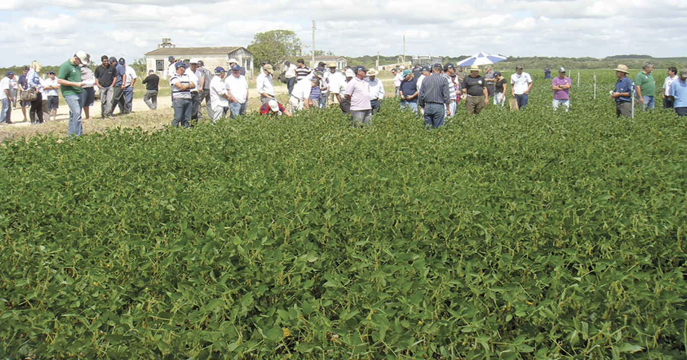 Tradição na produção de sementes
