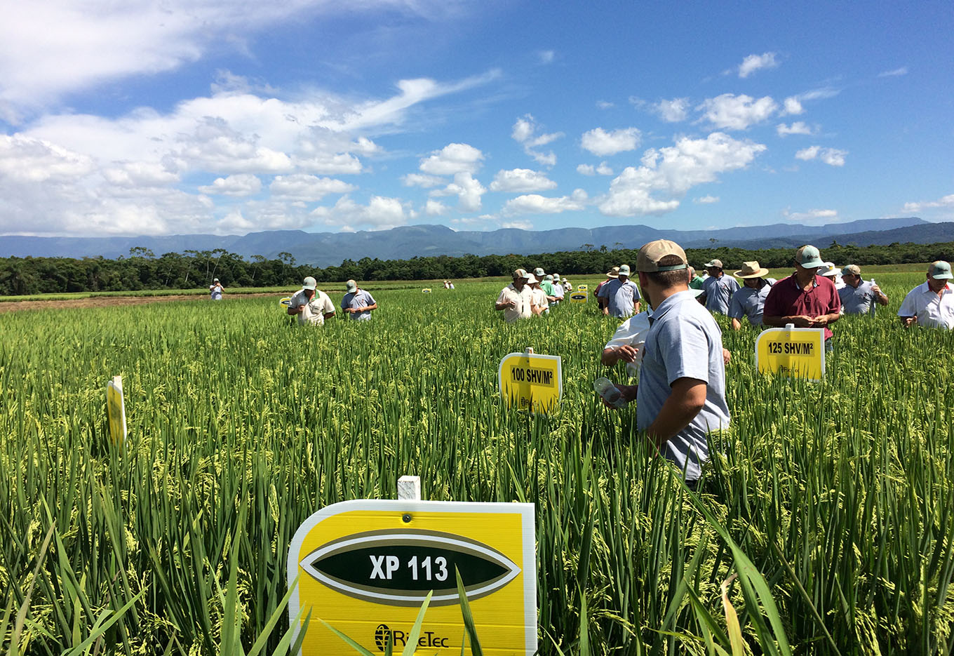 Exemplo de constante adaptação e evolução