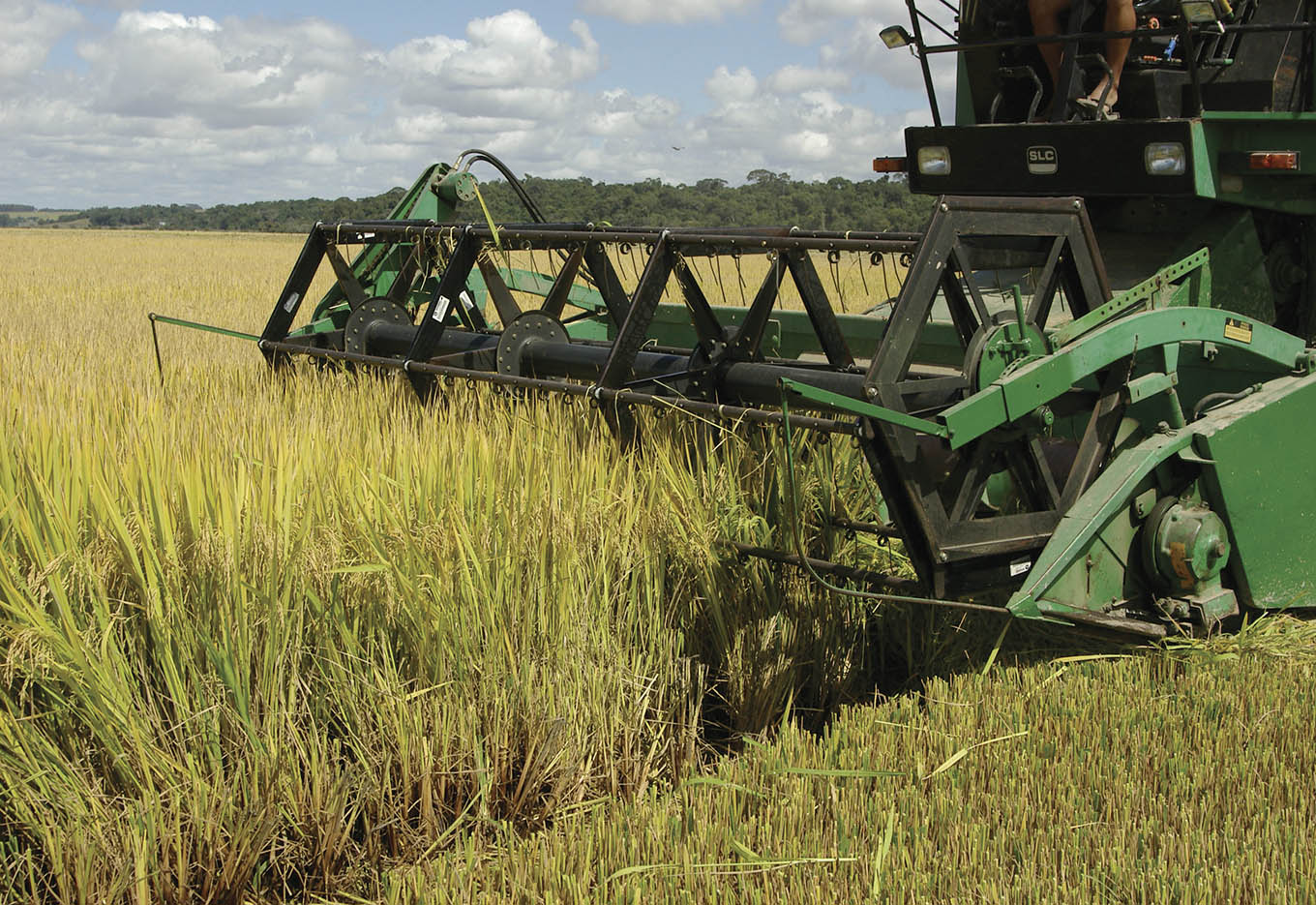 Cachoeirinha abre a Colheita do Arroz em 2008