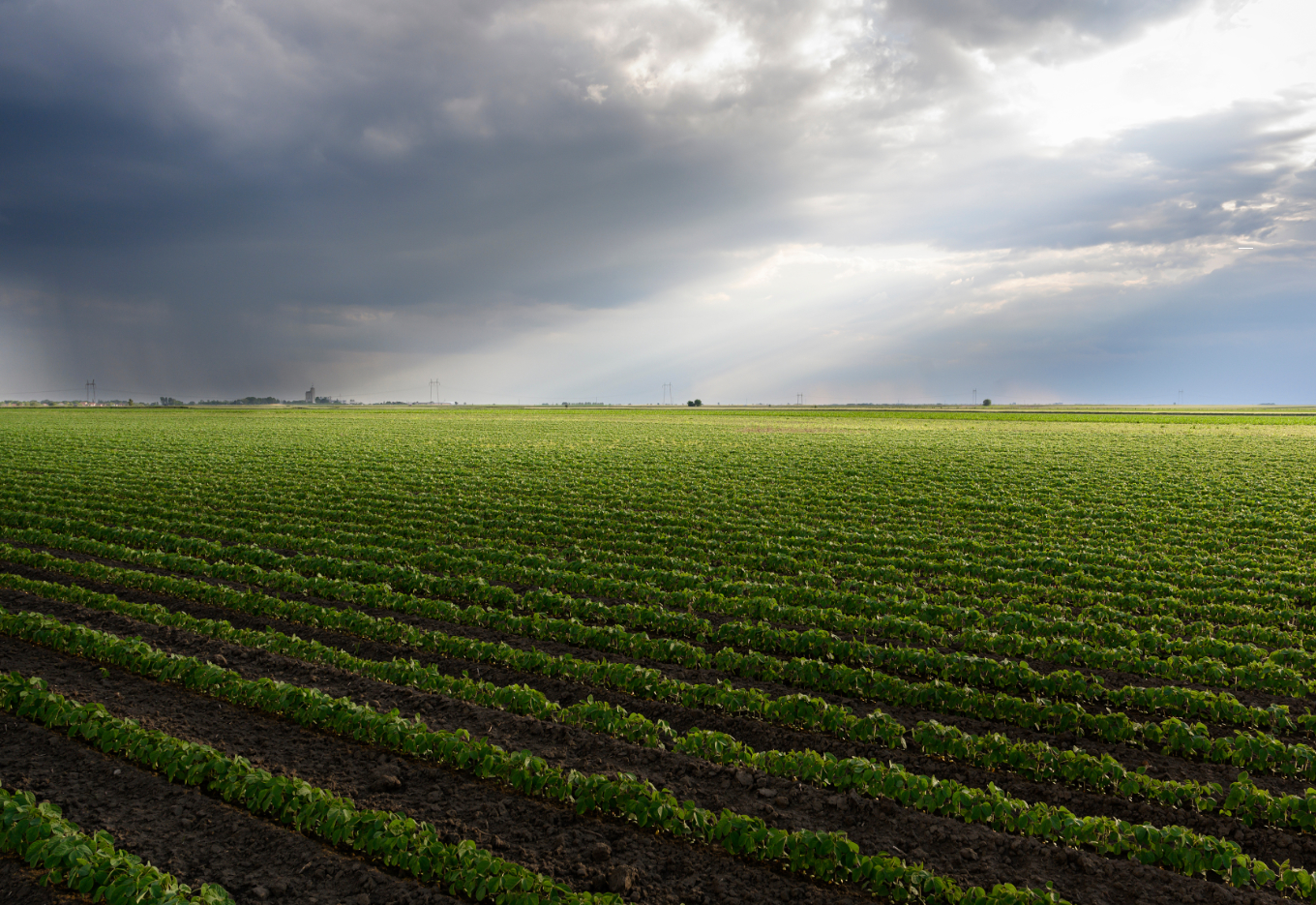 O El Niño e mais uma safra de desafios no sul