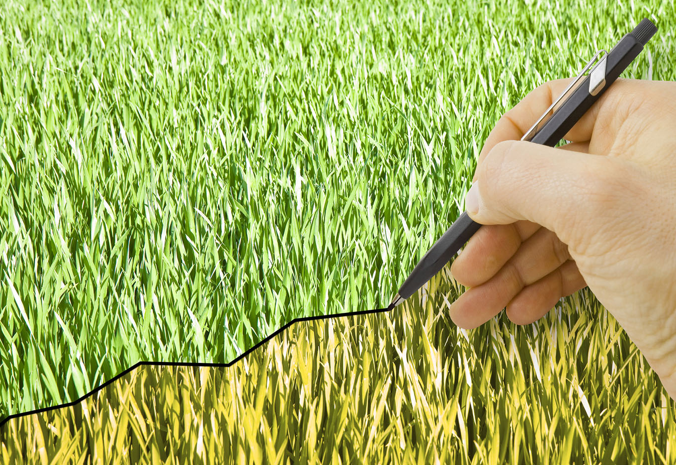 Grupo Matsuda Projeta Metas para o Futuro