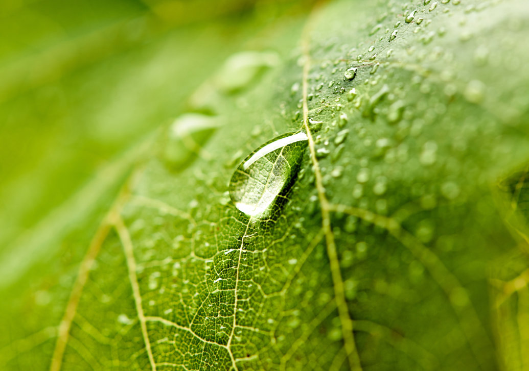 O atual ritmo das aprovações e proibições de defensivos agrícolas por todo o mundo