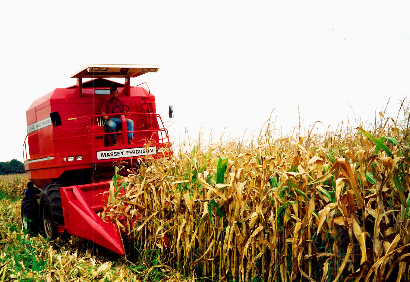 O desafio: Reduzir perdas na colheita