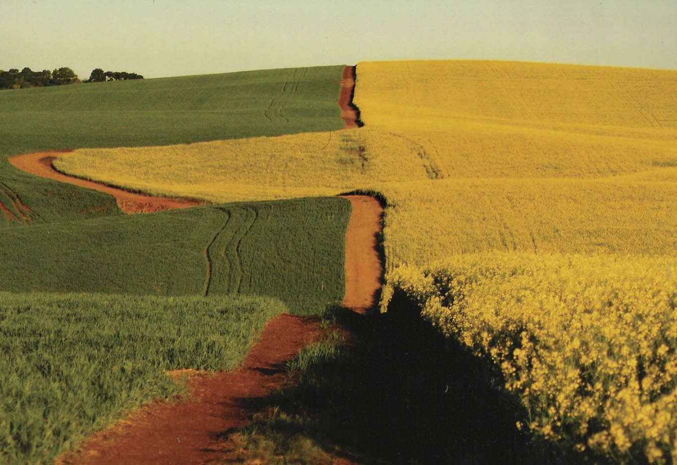 Sistema de Rotação de Culturas